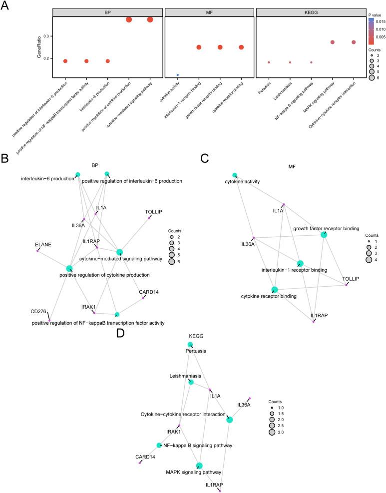 https://cdn.ncbi.nlm.nih.gov/pmc/blobs/1395/12213462/a308540c5a28/fonc-15-1566993-g005.jpg