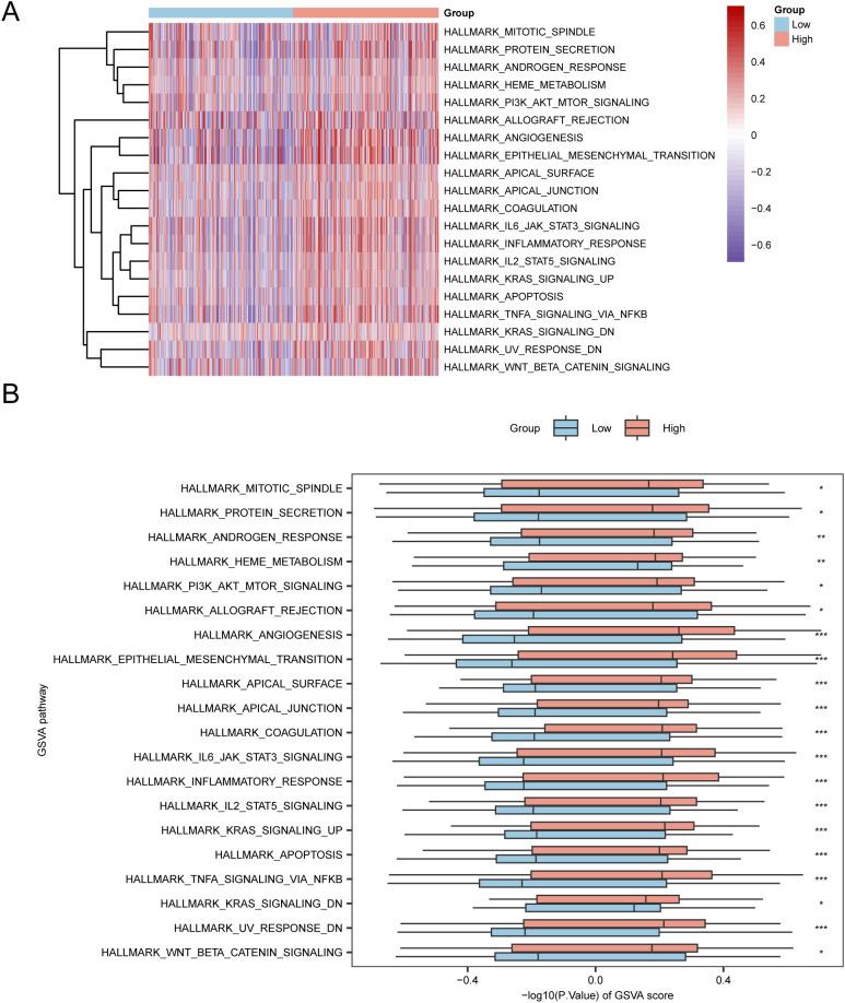 https://cdn.ncbi.nlm.nih.gov/pmc/blobs/1395/12213462/b075f9769130/fonc-15-1566993-g007.jpg