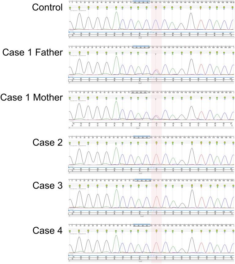 https://cdn.ncbi.nlm.nih.gov/pmc/blobs/1397/5389975/7fcf14bcd41e/fmicb-08-00616-g0002.jpg