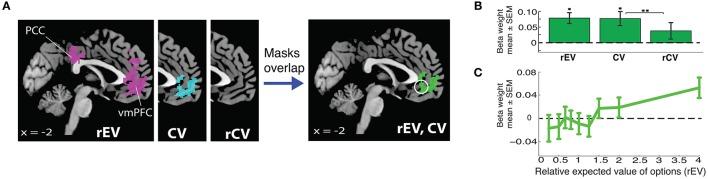 https://cdn.ncbi.nlm.nih.gov/pmc/blobs/139b/5101215/e6c8f75d3b47/fnins-10-00507-g0002.jpg
