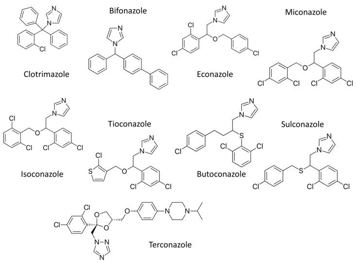 https://cdn.ncbi.nlm.nih.gov/pmc/blobs/139f/8911111/385b75937053/ijms-23-02756-g002.jpg