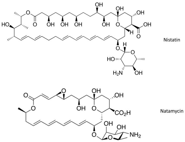 https://cdn.ncbi.nlm.nih.gov/pmc/blobs/139f/8911111/504da8d40b7a/ijms-23-02756-g001.jpg