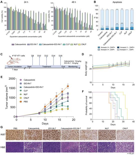 https://cdn.ncbi.nlm.nih.gov/pmc/blobs/13a5/11468610/8b6f8ab1e800/ADHM-12-2302046-g006.jpg