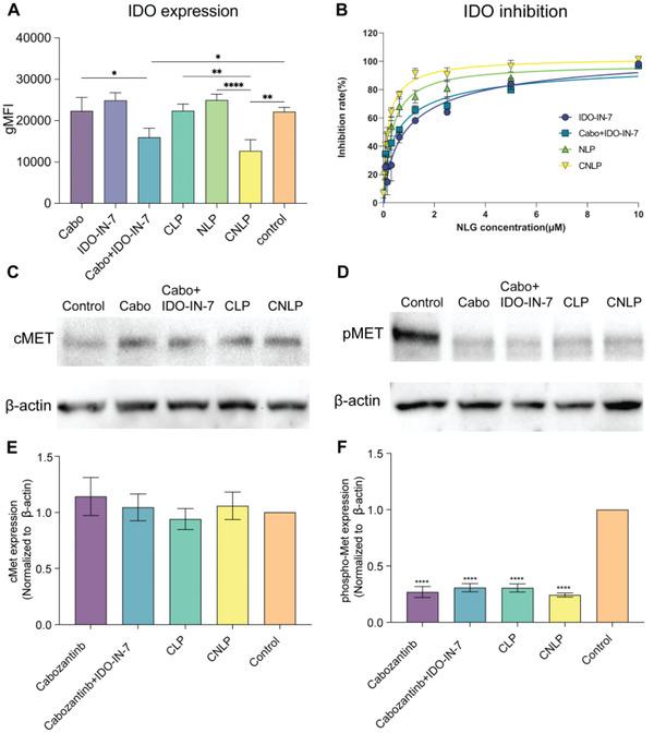 https://cdn.ncbi.nlm.nih.gov/pmc/blobs/13a5/11468610/c881ac4c737b/ADHM-12-2302046-g003.jpg