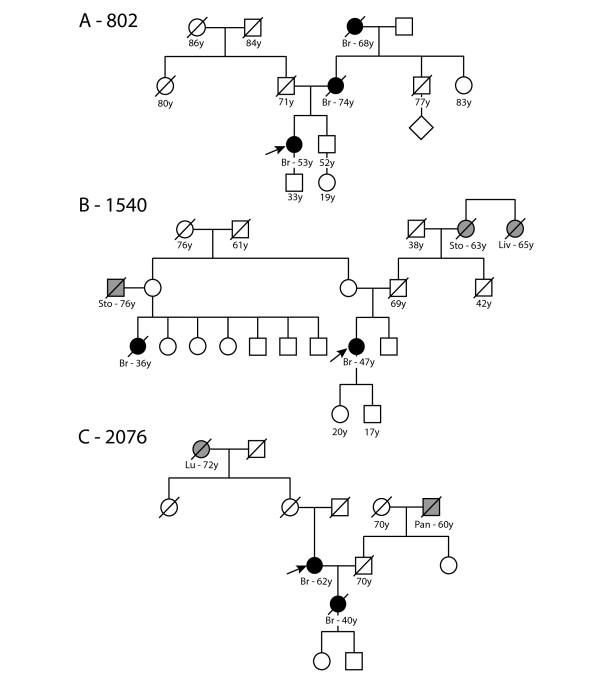 https://cdn.ncbi.nlm.nih.gov/pmc/blobs/13a6/2829009/0fa78c0f2e17/1471-2350-11-20-2.jpg