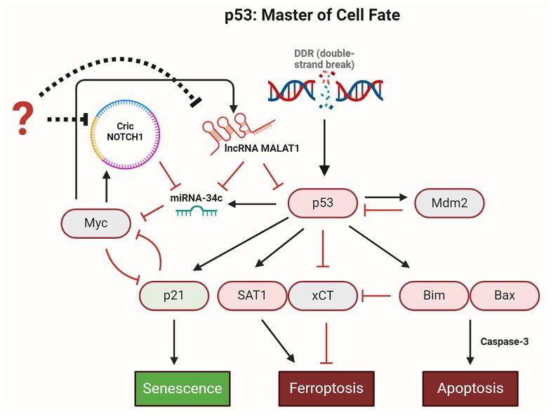https://cdn.ncbi.nlm.nih.gov/pmc/blobs/13a7/11755436/18fd1c2f781d/proteomes-13-00006-g006.jpg