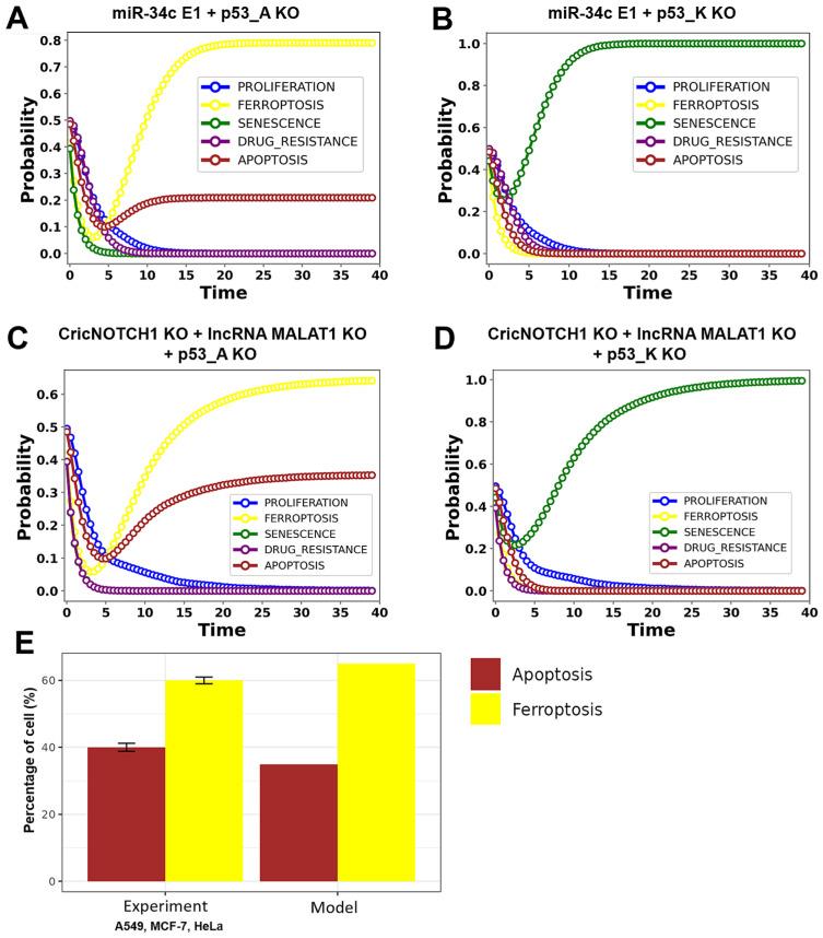 https://cdn.ncbi.nlm.nih.gov/pmc/blobs/13a7/11755436/680c94be3416/proteomes-13-00006-g004.jpg