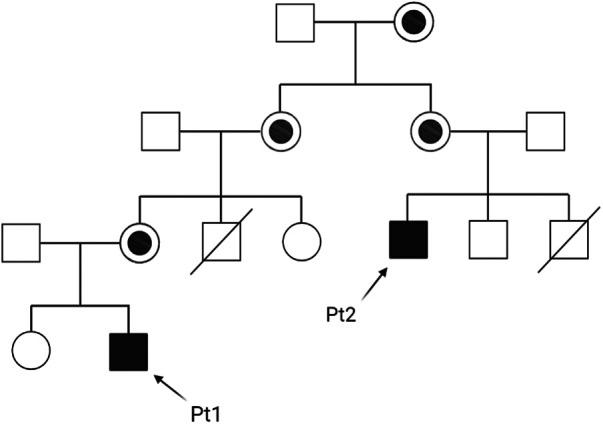 https://cdn.ncbi.nlm.nih.gov/pmc/blobs/13a8/10467424/107c3716d959/fped-11-1250772-g001.jpg
