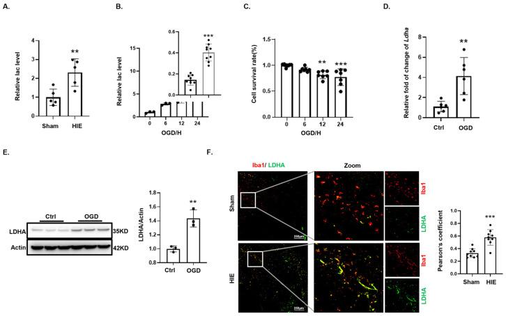 https://cdn.ncbi.nlm.nih.gov/pmc/blobs/13a9/11504212/0f53483e22e8/biomedicines-12-02371-g002.jpg