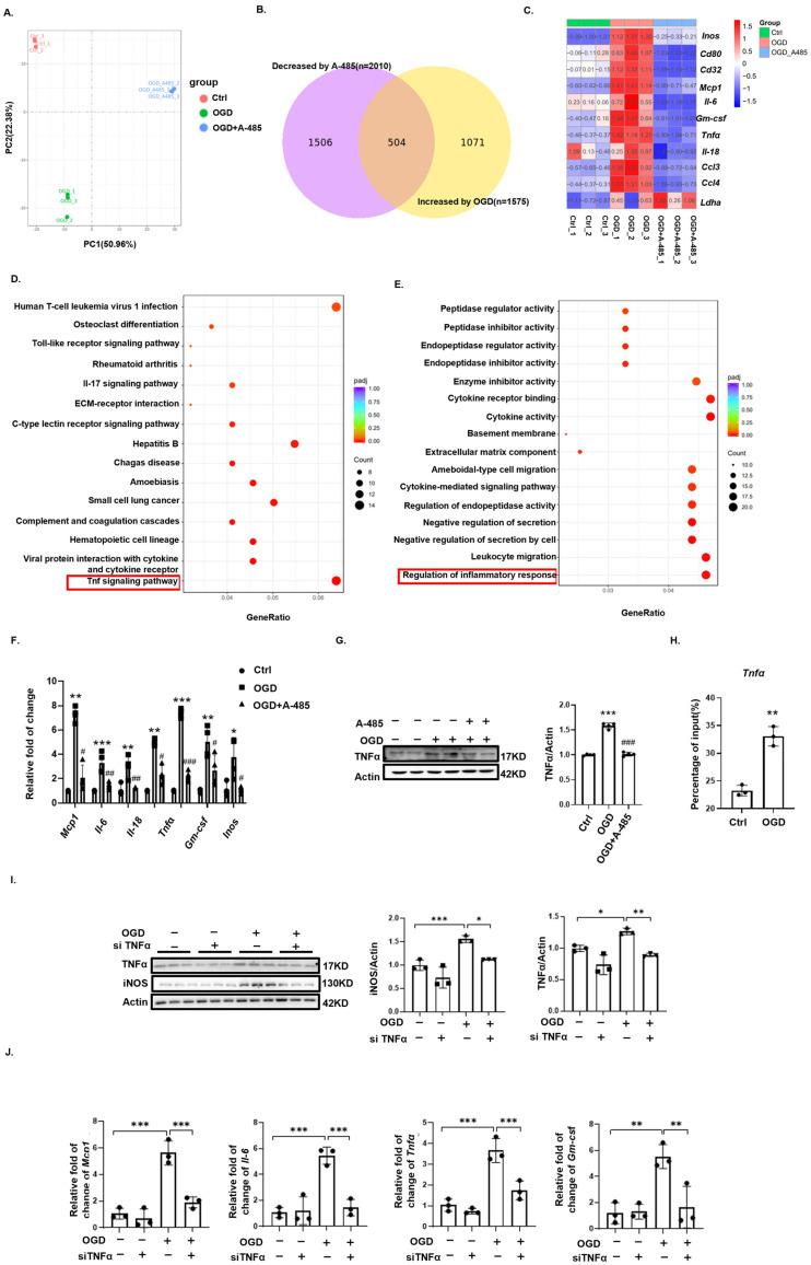 https://cdn.ncbi.nlm.nih.gov/pmc/blobs/13a9/11504212/c9c3689963a9/biomedicines-12-02371-g005.jpg