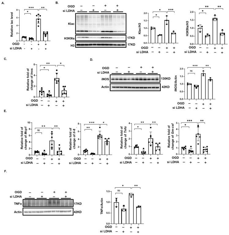 https://cdn.ncbi.nlm.nih.gov/pmc/blobs/13a9/11504212/f19a26c2d1b3/biomedicines-12-02371-g006.jpg
