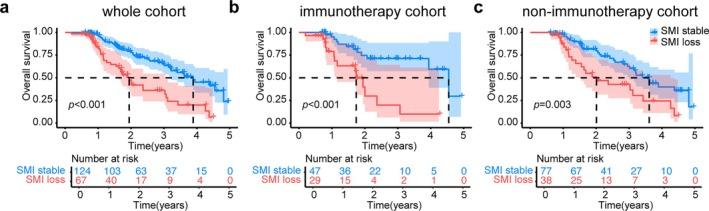 https://cdn.ncbi.nlm.nih.gov/pmc/blobs/13aa/12422944/f712a842a90d/JCSM-16-e70063-g006.jpg