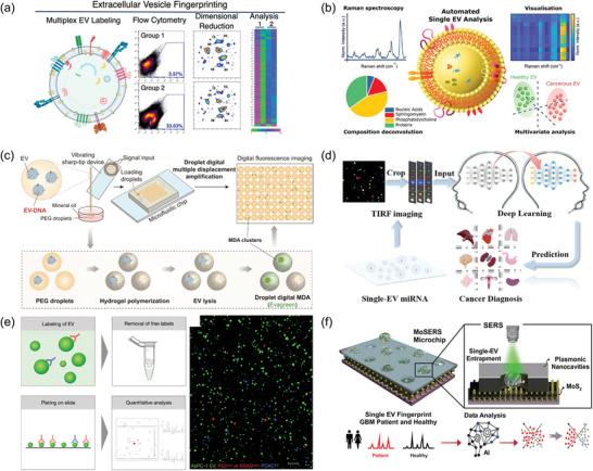 https://cdn.ncbi.nlm.nih.gov/pmc/blobs/13ab/11321646/946e0989f584/ADVS-11-2401069-g012.jpg