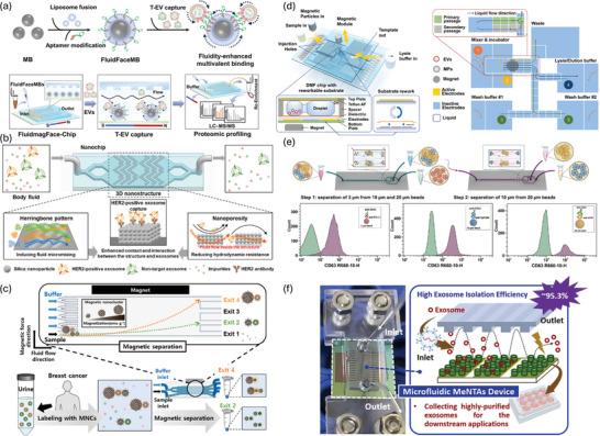 https://cdn.ncbi.nlm.nih.gov/pmc/blobs/13ab/11321646/96cff63b04ae/ADVS-11-2401069-g011.jpg