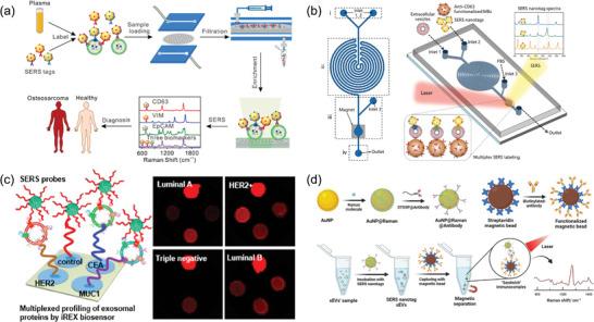 https://cdn.ncbi.nlm.nih.gov/pmc/blobs/13ab/11321646/a2d3621dccff/ADVS-11-2401069-g002.jpg