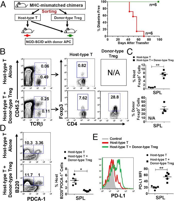 https://cdn.ncbi.nlm.nih.gov/pmc/blobs/13ab/5877958/b6d5d722a595/pnas.1720169115fig06.jpg