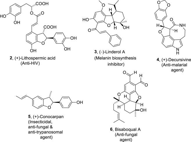 https://cdn.ncbi.nlm.nih.gov/pmc/blobs/13ac/11672212/249a31d97eb1/fchem-12-1470861-g002.jpg