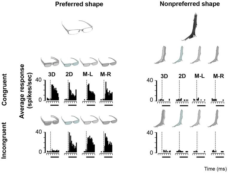 https://cdn.ncbi.nlm.nih.gov/pmc/blobs/13ac/3567065/152cf0b11e13/pone.0055340.g005.jpg