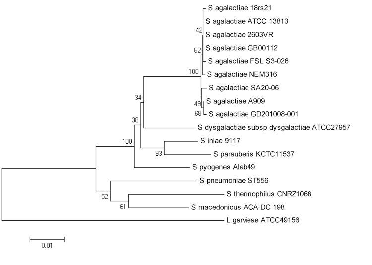 https://cdn.ncbi.nlm.nih.gov/pmc/blobs/13ad/3746423/314989a84396/sigs.3687314-f1.jpg