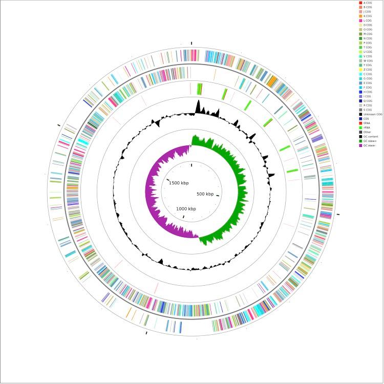 https://cdn.ncbi.nlm.nih.gov/pmc/blobs/13ad/3746423/a07768b719d8/sigs.3687314-f2.jpg