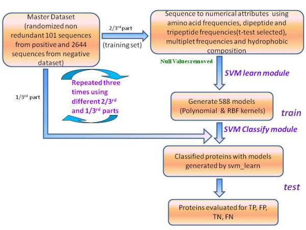 https://cdn.ncbi.nlm.nih.gov/pmc/blobs/13af/3224177/8dc0f6f99993/1471-2164-12-192-1.jpg