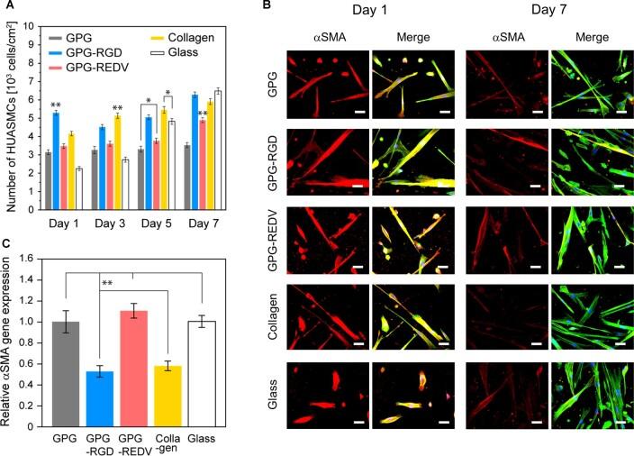 https://cdn.ncbi.nlm.nih.gov/pmc/blobs/13af/9845521/2b963802fc1b/rbac111f6.jpg