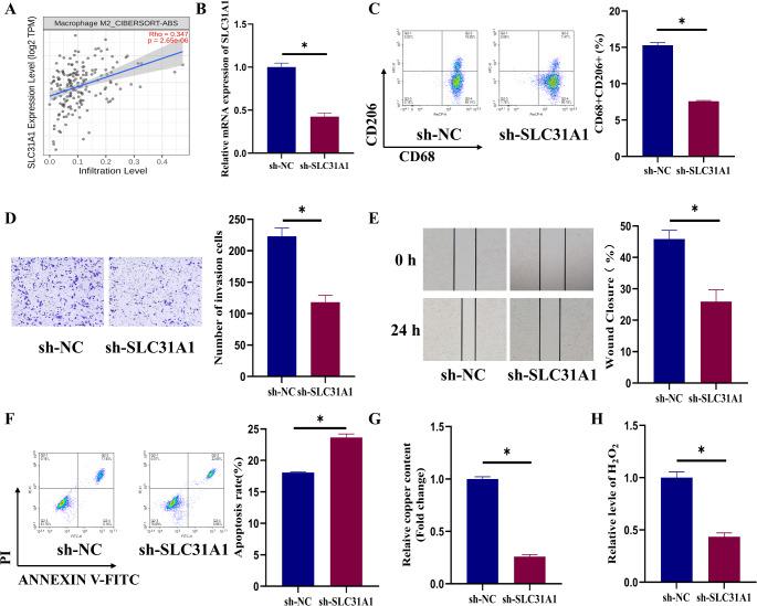 https://cdn.ncbi.nlm.nih.gov/pmc/blobs/13b0/12075406/c8a9e5c65605/432_2025_6191_Fig3_HTML.jpg