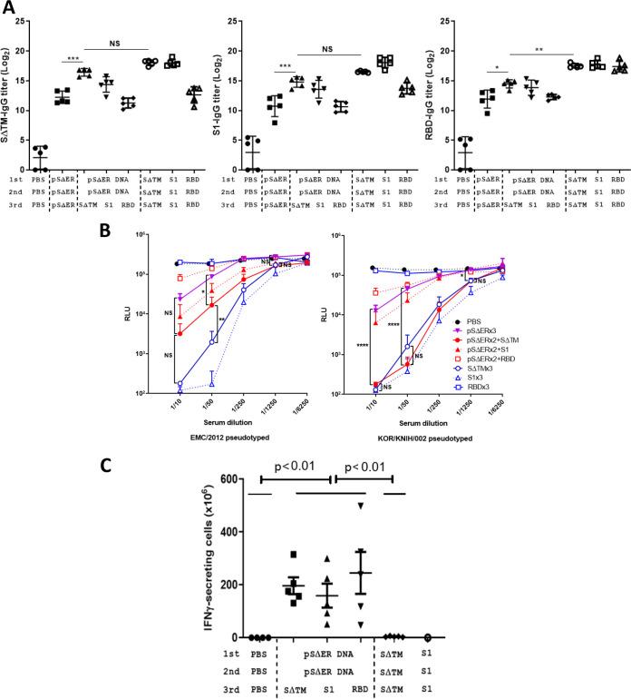 https://cdn.ncbi.nlm.nih.gov/pmc/blobs/13b1/7925194/7c7abc7c71de/JVI.01176-20-f0002.jpg