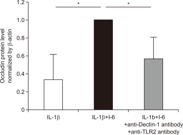 https://cdn.ncbi.nlm.nih.gov/pmc/blobs/13b3/11096913/507256cb8cc3/gnl-18-3-465-f7.jpg