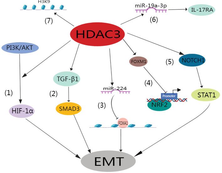 https://cdn.ncbi.nlm.nih.gov/pmc/blobs/13b6/11464298/39bec7b5ef56/fimmu-15-1392145-g004.jpg