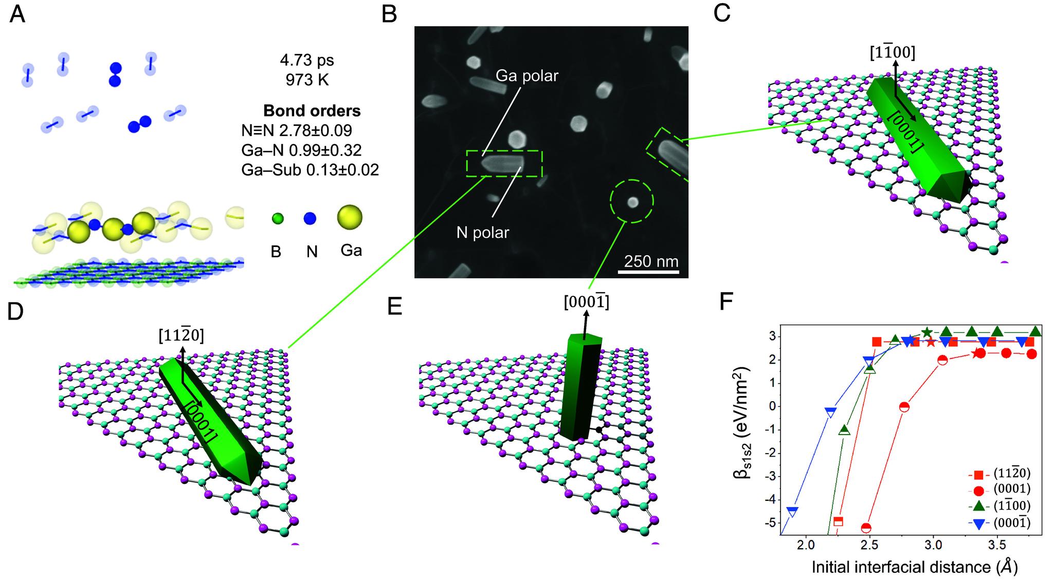 https://cdn.ncbi.nlm.nih.gov/pmc/blobs/13b9/11892640/04f6704c6b4e/pnas.2417859122fig03.jpg