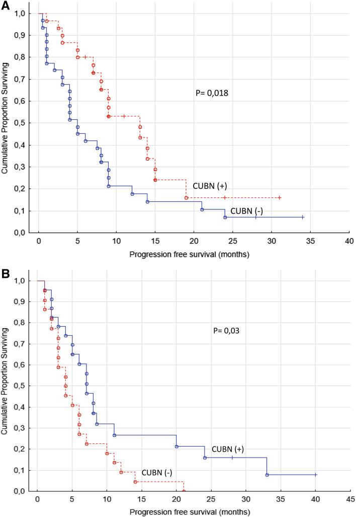 https://cdn.ncbi.nlm.nih.gov/pmc/blobs/13ba/11818976/840ad1614407/432_2017_2365_Fig4_HTML.jpg
