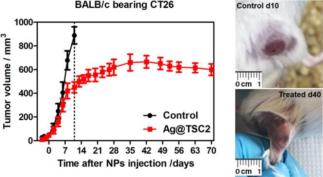 https://cdn.ncbi.nlm.nih.gov/pmc/blobs/13ba/8990520/60ee2e74c1dc/am2c01100_0011.jpg