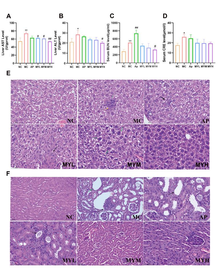 https://cdn.ncbi.nlm.nih.gov/pmc/blobs/13bb/12385240/75a125e1a1f9/foods-14-02765-g003.jpg