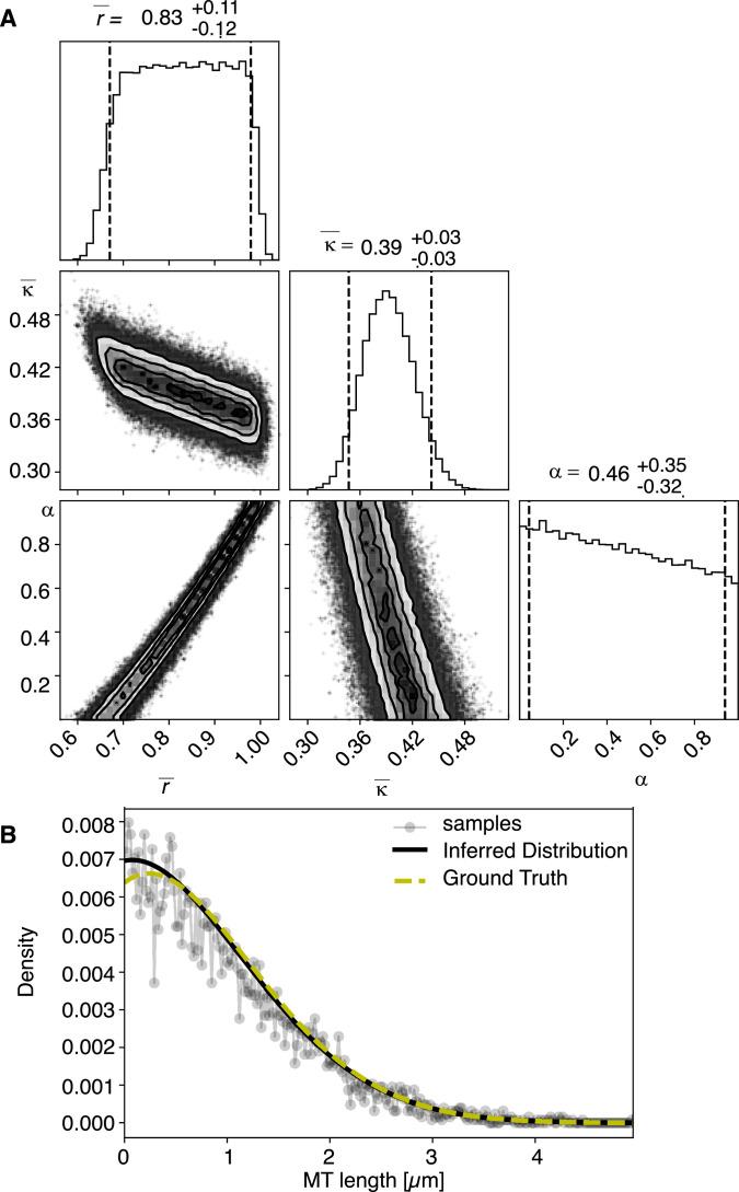 https://cdn.ncbi.nlm.nih.gov/pmc/blobs/13bc/8225387/c522a51b1580/elife-58903-fig10.jpg