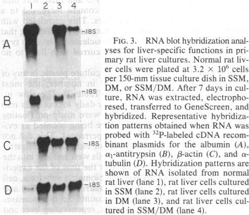 https://cdn.ncbi.nlm.nih.gov/pmc/blobs/13bd/344845/e1784643c15b/pnas00606-0134-a.jpg