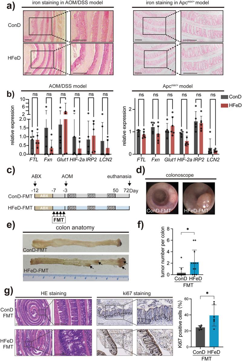 https://cdn.ncbi.nlm.nih.gov/pmc/blobs/13bf/10269393/36056f3f9d1f/KGMI_A_2221978_F0002_OC.jpg