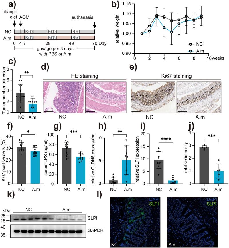 https://cdn.ncbi.nlm.nih.gov/pmc/blobs/13bf/10269393/ce968f2c3940/KGMI_A_2221978_F0007_OC.jpg