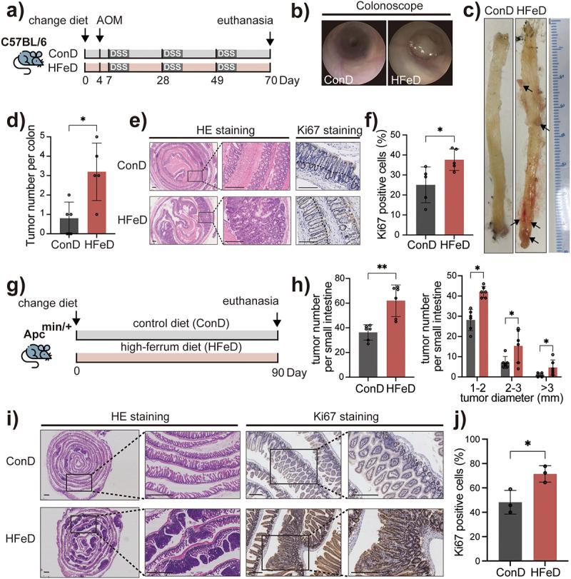 https://cdn.ncbi.nlm.nih.gov/pmc/blobs/13bf/10269393/df675b2233b2/KGMI_A_2221978_F0001_OC.jpg