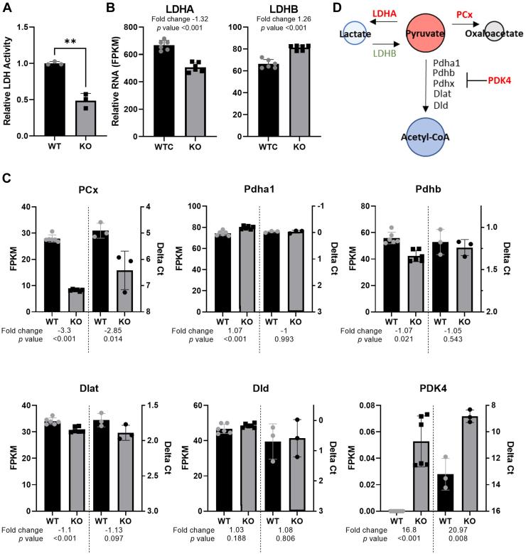 https://cdn.ncbi.nlm.nih.gov/pmc/blobs/13bf/10641666/081fbcefbe3c/gr8.jpg