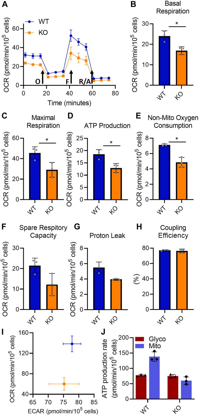 https://cdn.ncbi.nlm.nih.gov/pmc/blobs/13bf/10641666/98682cb35086/gr6.jpg