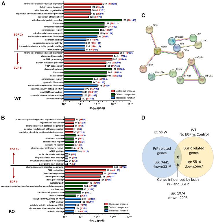 https://cdn.ncbi.nlm.nih.gov/pmc/blobs/13bf/10641666/efbed0719c41/gr4.jpg