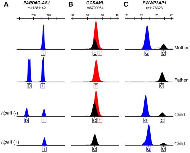 https://cdn.ncbi.nlm.nih.gov/pmc/blobs/13c1/5838017/5c18843e80d2/fgene-09-00036-g0007.jpg