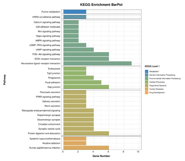 https://cdn.ncbi.nlm.nih.gov/pmc/blobs/13c5/11664417/30bcbb13a2e5/figs3.jpg