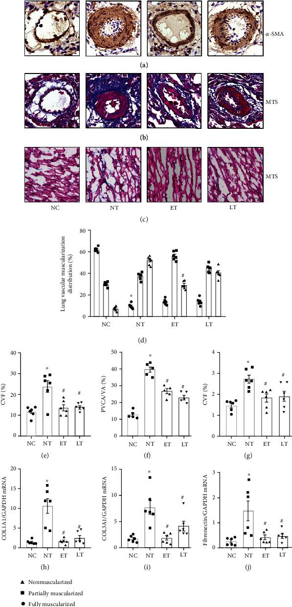https://cdn.ncbi.nlm.nih.gov/pmc/blobs/13c7/7861928/9f4f05f45158/OMCL2021-6621232.003.jpg