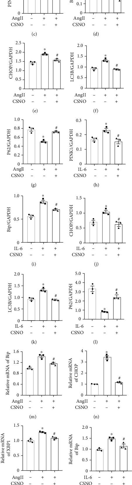 https://cdn.ncbi.nlm.nih.gov/pmc/blobs/13c7/7861928/ac51bbfbb14d/OMCL2021-6621232.007.jpg