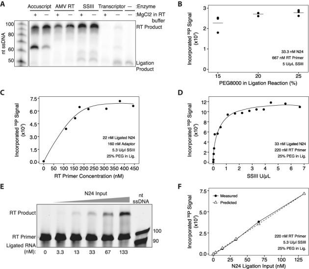 https://cdn.ncbi.nlm.nih.gov/pmc/blobs/13c9/4288154/e62804b17bf9/gku1235fig3.jpg