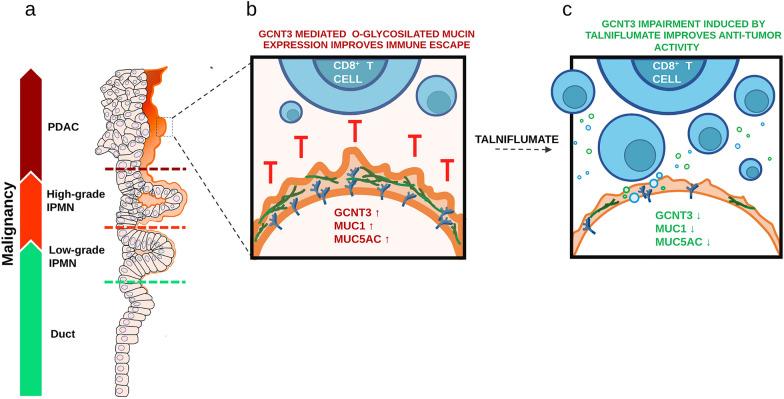 https://cdn.ncbi.nlm.nih.gov/pmc/blobs/13ca/10668479/16057fac74ba/12967_2023_4733_Fig7_HTML.jpg