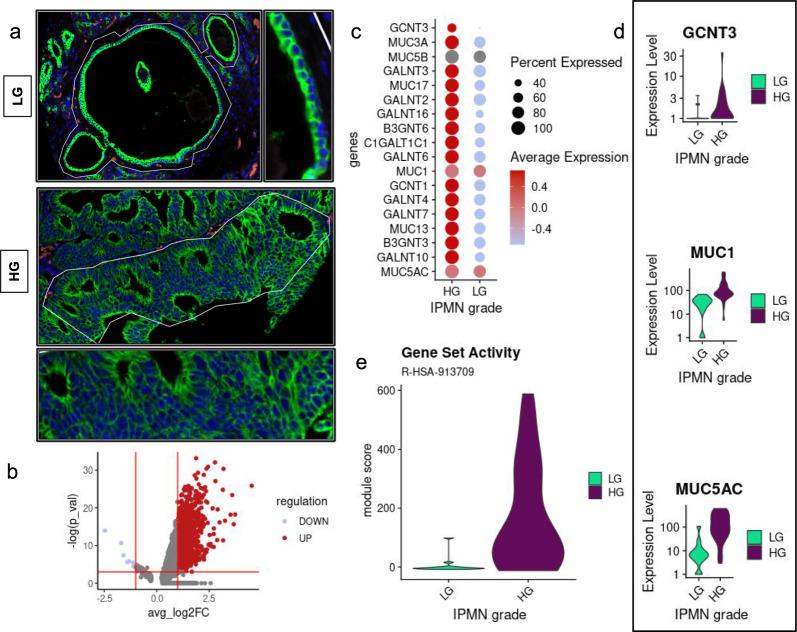 https://cdn.ncbi.nlm.nih.gov/pmc/blobs/13ca/10668479/37624ae4e813/12967_2023_4733_Fig1_HTML.jpg