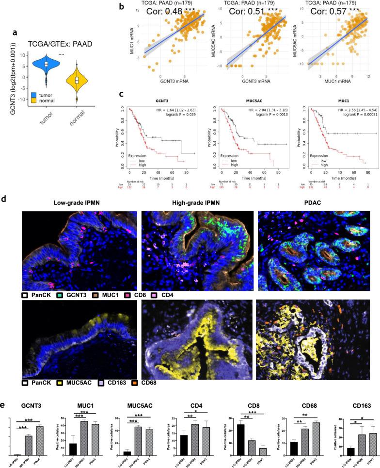 https://cdn.ncbi.nlm.nih.gov/pmc/blobs/13ca/10668479/b2a5cd3a62bc/12967_2023_4733_Fig2_HTML.jpg